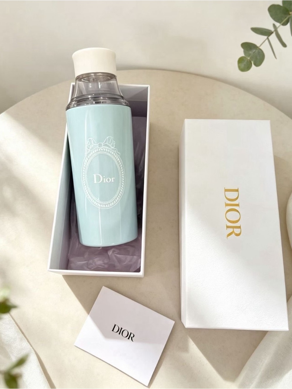 Dior Mint Green 450ml Stainless Steel Tumbler Travel Cup with Box